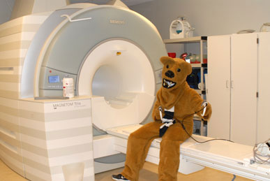 Nittany Lion on 3T Scanner.